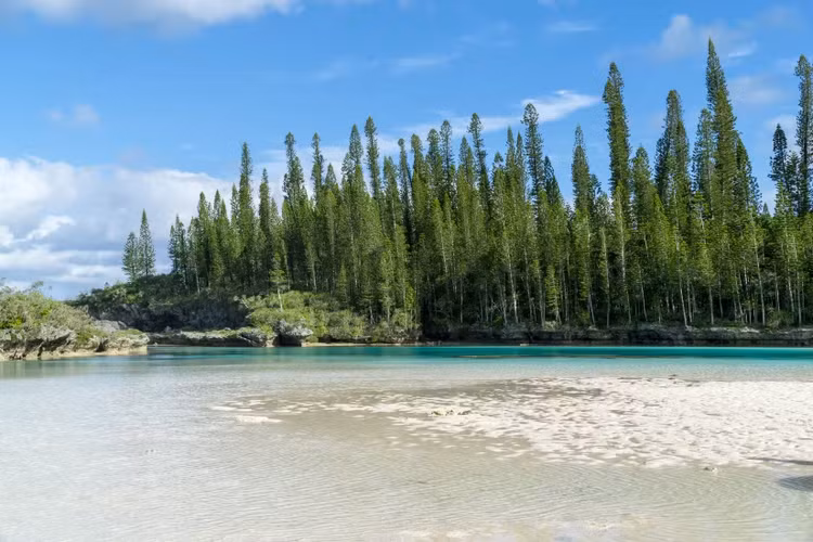 La lung loai cay luon nghieng ve xich dao, mai chua co loi giai-Hinh-8