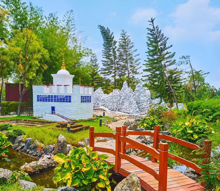 La lung loai cay luon nghieng ve xich dao, mai chua co loi giai-Hinh-7