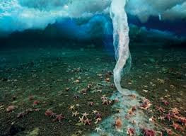 Xuat hien canh tuong la tren bien, chuyen gia dien dau giai ma-Hinh-5