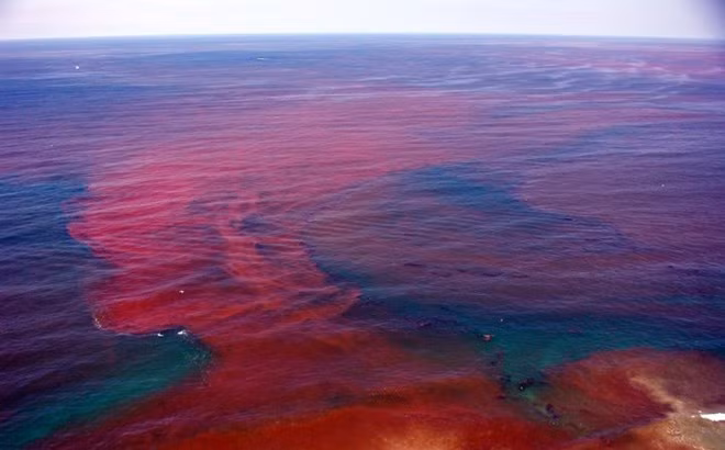 Xuat hien canh tuong la tren bien, chuyen gia dien dau giai ma-Hinh-7