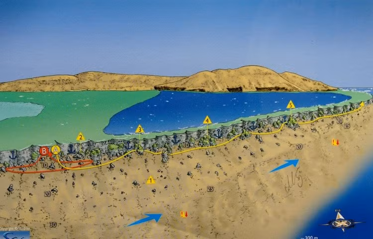 Bat ngo hon dao khong su song, chua day da quy o Bien Do-Hinh-4