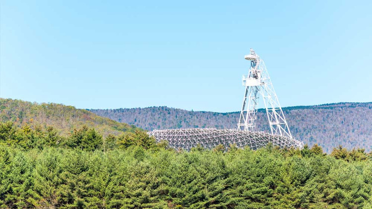 Thi tran “yen tinh” nhat nuoc My, cam tiet dung Wifi, song dien thoai-Hinh-6