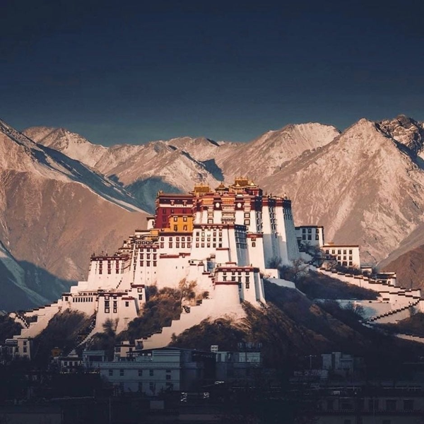 Su that chan dong ve cung dien chua nua so vang cua nhan loai-Hinh-2