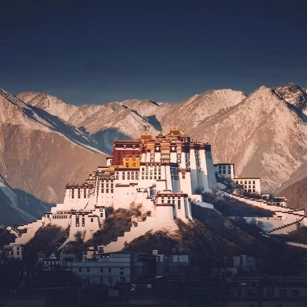 Su that chan dong ve cung dien chua nua so vang cua nhan loai-Hinh-2