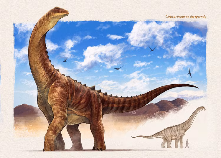 Giat minh sieu quai thu 40 tan, xuong roi thung mat duong-Hinh-4