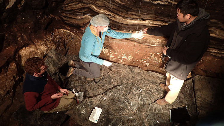 Phat hien bat ngo co gai trong “hang dong cua loai nguoi khac”-Hinh-8