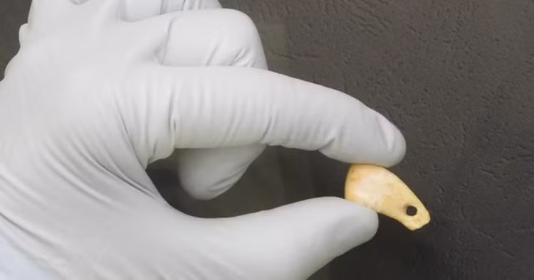 Phat hien bat ngo co gai trong “hang dong cua loai nguoi khac”-Hinh-3