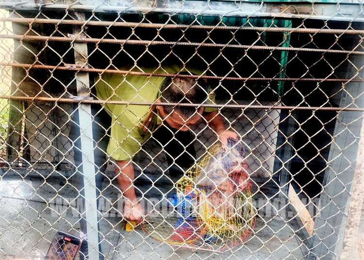 Binh Duong tiep nhan 2 ca the khi duoi lon: Loai quy hiem