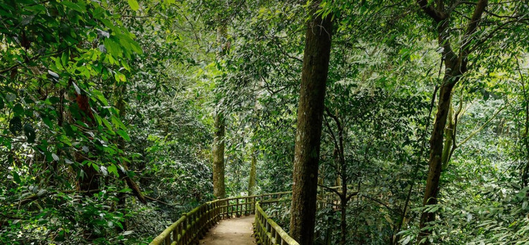 VQG Cuc Phuong hang dau chau A dep ky ao tren bao nuoc ngoai-Hinh-9