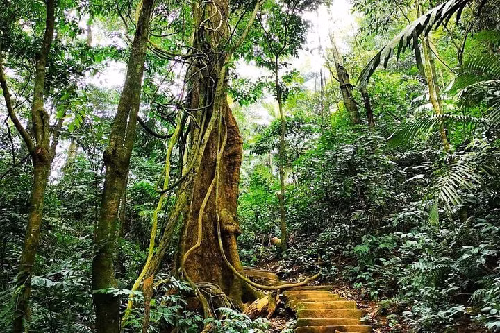 VQG Cuc Phuong hang dau chau A dep ky ao tren bao nuoc ngoai-Hinh-3