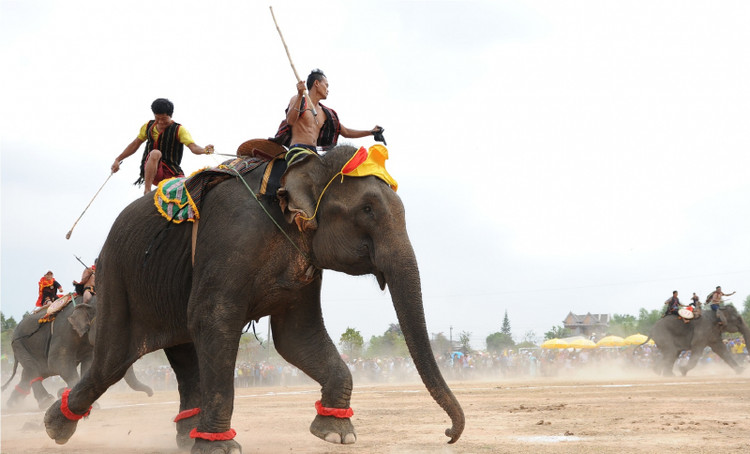Voi Rok quy hiem sao Dak Lak len phuong an bao ton gap?-Hinh-7