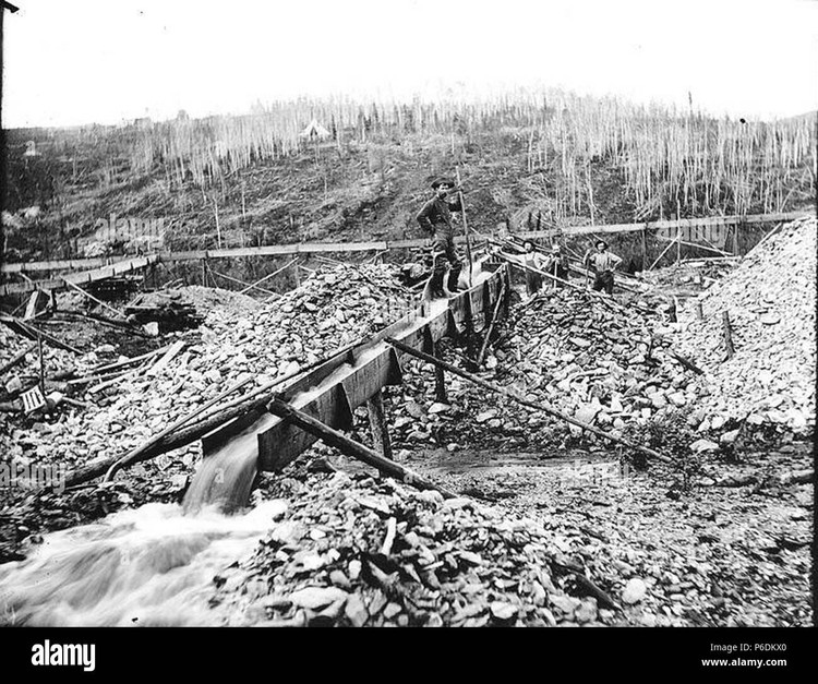 Bi mat it biet “con sot vang” lon nhat lich su the ky 19-Hinh-4