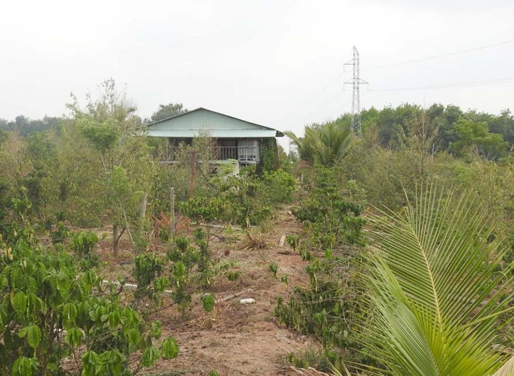 Kon Tum: Bat tam giam 3 can bo do sai pham ve dat dai