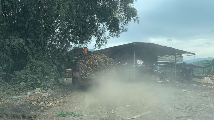 Hoa Binh: Xuong che bien dam go trai phep “thi gan” cung chinh quyen-Hinh-2