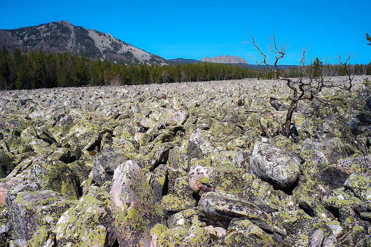 Tieng keu ky di tu dong song toan da doc nhat the gioi-Hinh-5