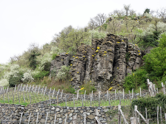 Bi an hang tram co vat 3.400 tuoi tren dinh nui lua-Hinh-9