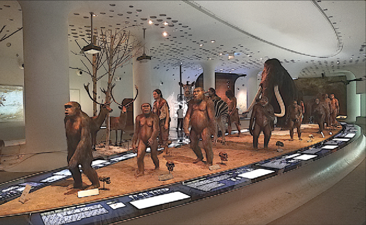 Tim thay hoa thach hop so co nien dai co nhat ngoai chau Phi-Hinh-10