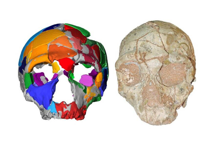 Tim thay hoa thach hop so co nien dai co nhat ngoai chau Phi-Hinh-2