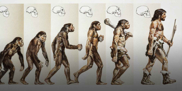 Tim thay hoa thach hop so co nien dai co nhat ngoai chau Phi-Hinh-5