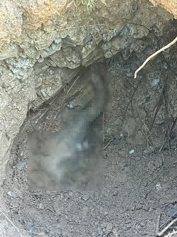 Phat hien voi con chet duoi gieng o Dong Nai... loai cuc nguy cap-Hinh-2