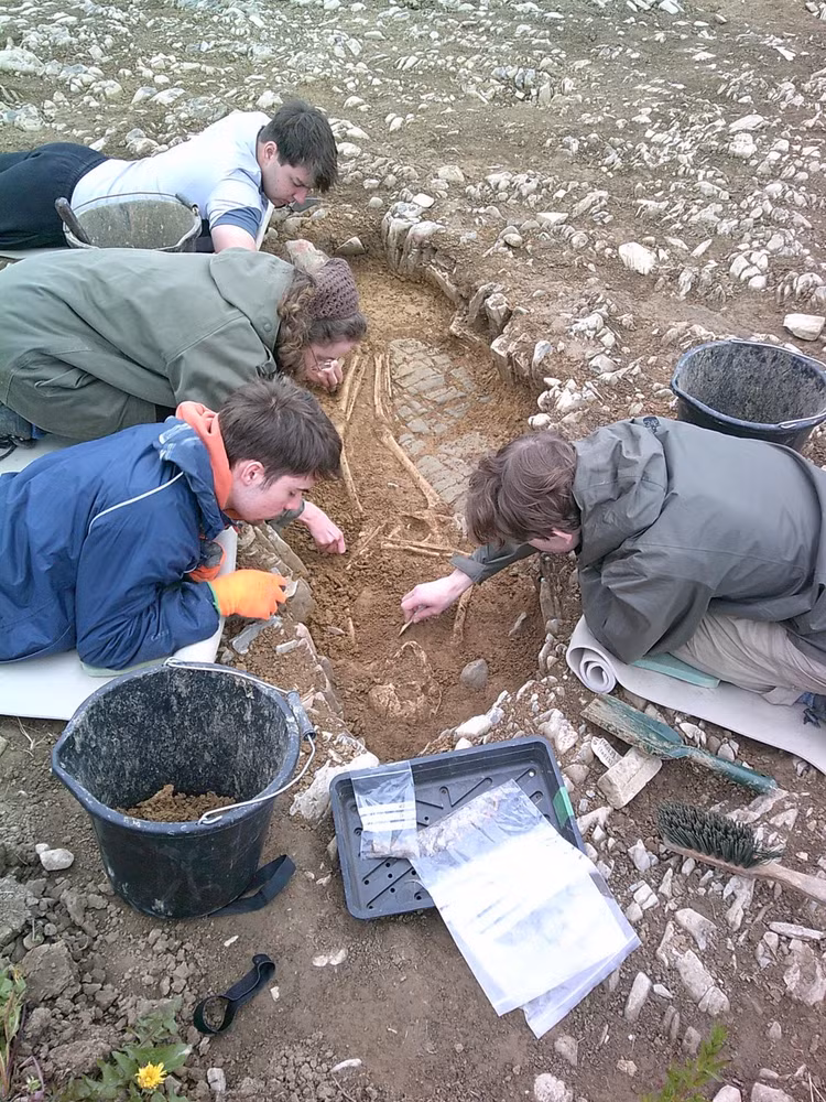 Giai ma soc he mo su that 41 bo hai cot thoi Trung co-Hinh-2