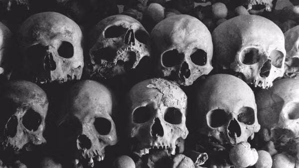 Giai ma soc he mo su that 41 bo hai cot thoi Trung co-Hinh-4