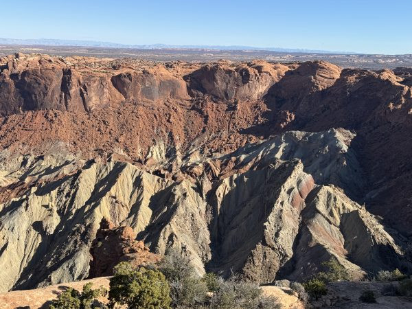 Cau truc da bi an giong chiec ron, khoa hoc vat oc giai ma-Hinh-5