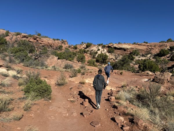 Cau truc da bi an giong chiec ron, khoa hoc vat oc giai ma-Hinh-6