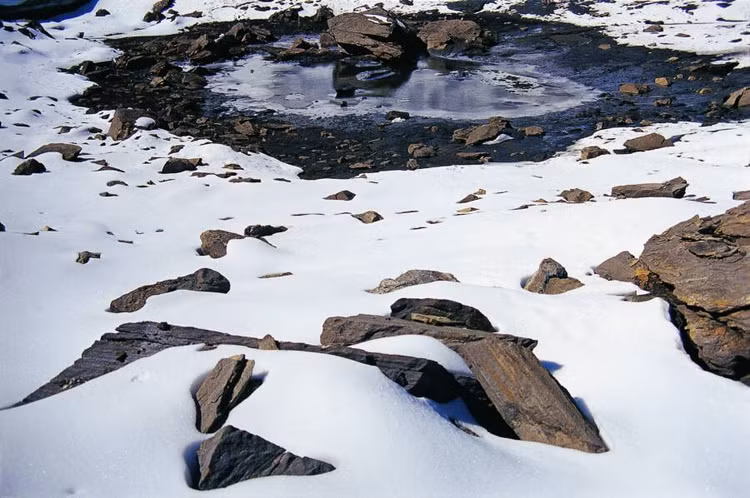 Giai thoai rung ron cua “ho xuong nguoi” khet tieng the gioi