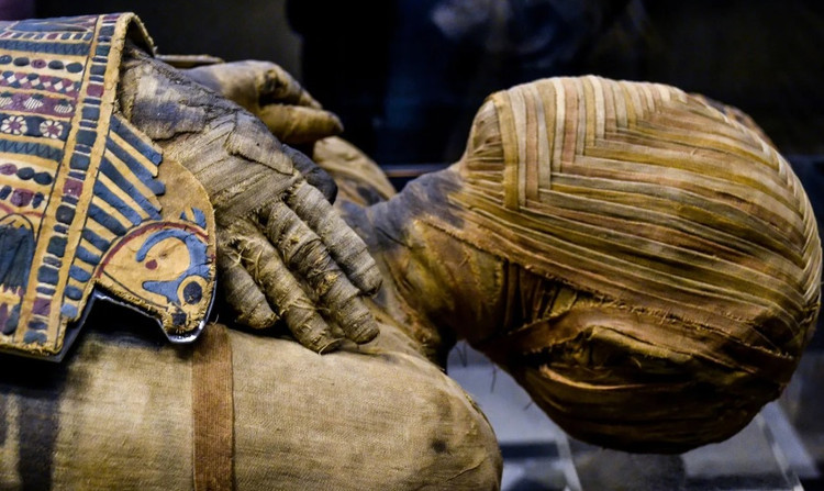 Soc nang xac uop Ai Cap nghin nam tuoi van... thom nuc-Hinh-6