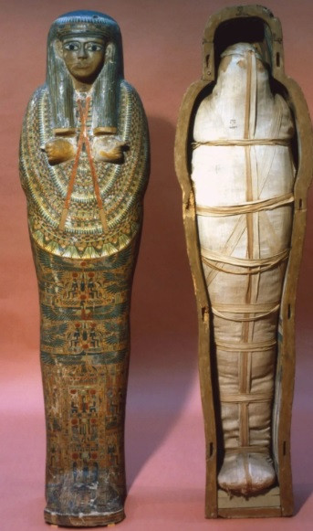 Soc nang xac uop Ai Cap nghin nam tuoi van... thom nuc-Hinh-8