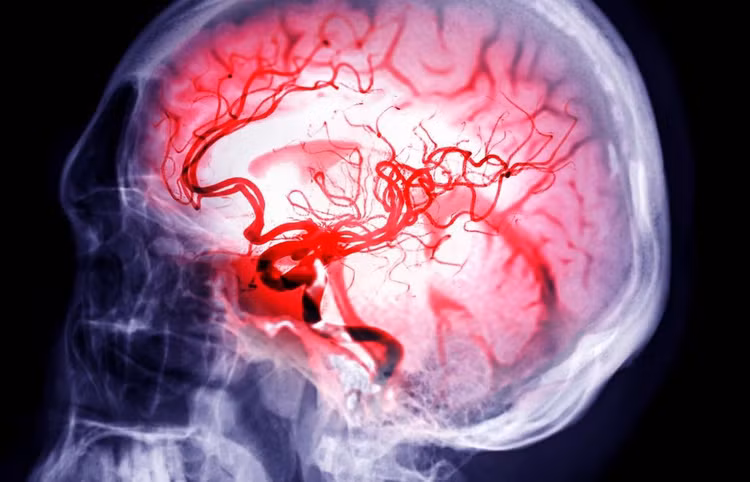 Chuyen gia dua bang chung ro rang linh hon co that?-Hinh-5