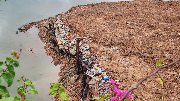 Bai chat thai bua vay chan cay cau dep nhat tinh Quang Ninh-Hinh-3