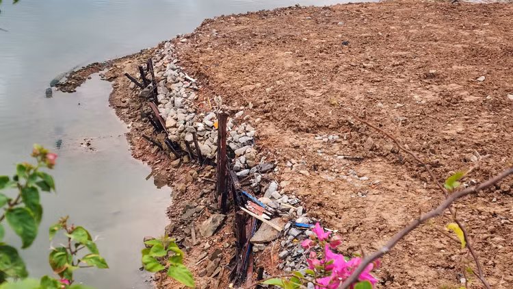 Bai chat thai bua vay chan cay cau dep nhat tinh Quang Ninh-Hinh-3