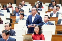 Đề xuất bỏ mô hình đại học vùng để nâng cao hiệu quả giáo dục