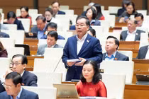 Đề xuất bỏ mô hình đại học vùng để nâng cao hiệu quả giáo dục