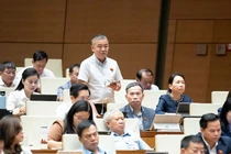 ĐBQH đề xuất điều tra sử dụng gỗ quý tự nhiên để bảo vệ rừng hiệu quả