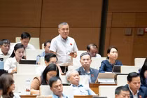 ĐBQH đề xuất điều tra sử dụng gỗ quý tự nhiên để bảo vệ rừng hiệu quả