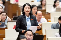 Siết trách nhiệm xử lý rác thải điện tử, pin mặt trời tại Việt Nam