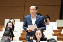 Việt Nam cần tiêu chuẩn môi trường rõ ràng để tham gia chuỗi cung ứng xanh quốc tế