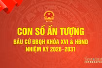 Con số ấn tượng bầu cử Quốc hội khoá XVI và HĐND các cấp nhiệm kỳ 2026 - 2031