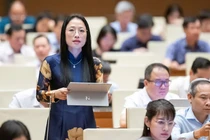 ĐBQH Trần Khánh Thu.