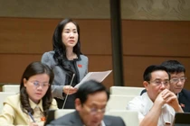 Cần có chính sách khuyến khích, ưu tiên và bảo vệ sàn thương mại điện tử Việt Nam