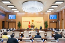 Cử tri bày tỏ lo ngại về lừa đảo, ô nhiễm và giá cả tại kỳ họp Quốc hội