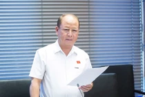 ĐBQH đề nghị chấm dứt ưu đãi dự án vi phạm hoặc chậm tiến độ