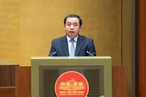 Sẽ có chiến lược quốc gia về đất hiếm