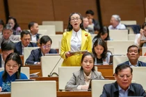 Đất hiếm là nhóm tài nguyên có hệ số rủi ro môi trường rất lớn