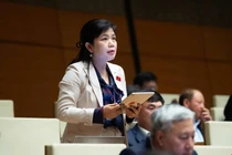 Vì sao đề xuất cảng Con Ong – Hòn Nét vào quy hoạch quốc gia?