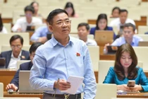 Đại biểu Quốc hội phân tích vụ bắt hoa hậu Thùy Tiên