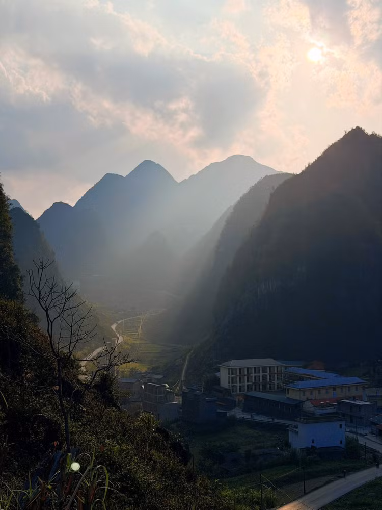 mua-hoa-cao-ma4.jpg